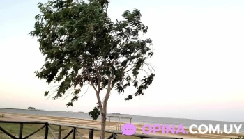 AbronK - 11600 Montevideo