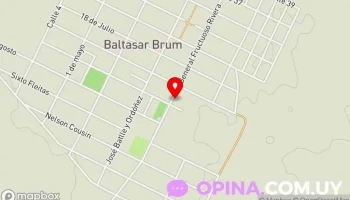 Abuela elsa - Baltasar Brum