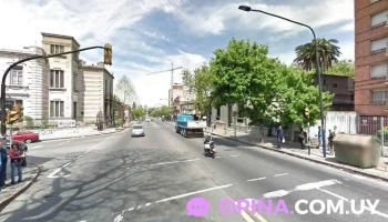 Academia Bernoulli Prado - Montevideo Academia Bernoulli Prado - Montevideo