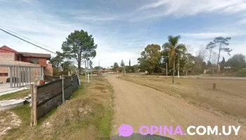 Academia de Danza Terpsicore - Ciudad De La Costa