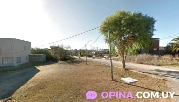 Academia de Tecnificacion Nelson Bevilacqua - Minas Academia de Tecnificacion Nelson Bevilacqua - Minas