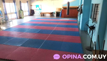 Academia Sae Jin - Federacion Uruguaya de Taekwondo - Fray Bentos Academia Sae Jin - Federacion Uruguaya de Taekwondo - Fray Bentos