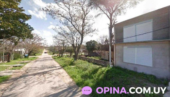 Acatu - Pando Acatu - Pando