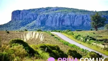 Acj Centro - Montevideo