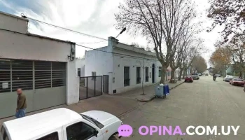 Adeom - Durazno Adeom - Durazno