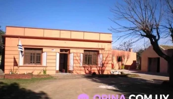 Adis - Rivera Adis - Rivera