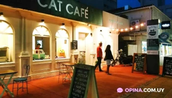 Adrianuzca´s Cat Café - Punta Del Este