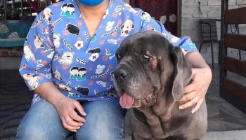 Aeroparque Mascotas - Departamento De Canelones