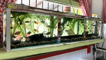 Agro ceberio - Pdte. Tomas Berreta Agro ceberio - Pdte. Tomas Berreta