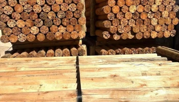 Agromadera's Srl - Sauce Agromadera's Srl - Sauce