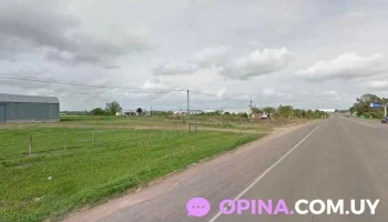 Agromaniva Srl ( raciones Superior) - 70700 Nueva Palmira