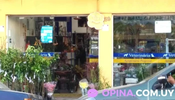 Agropecuária e Veterinária Progresso - - Centro