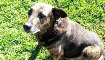 Agroraciones El Rastro - 20400 San Carlos Agroraciones El Rastro - 20400 San Carlos