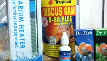 Agroveterinaria Canela's - 90200 Santa Lucía