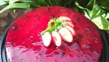 Airam - 27200 Castillos