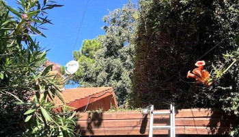 Alberto Prandi Propiedades - Maldonado Alberto Prandi Propiedades - Maldonado