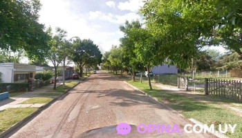 Alejandra da Costa - 65100 Young Alejandra da Costa - 65100 Young