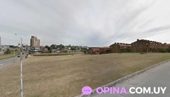 Alergobioma clinica medica alergias - 11400 Montevideo Alergobioma clinica medica alergias - 11400 Montevideo