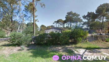 Almacén - 27400 Puerto La Paloma