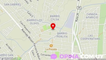 Almacén Canas Verdes - 20000 Maldonado