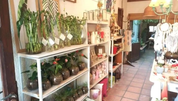 Almacén Deco - 27000 Rocha