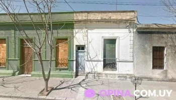 almacén del pelado - 94000 Florida