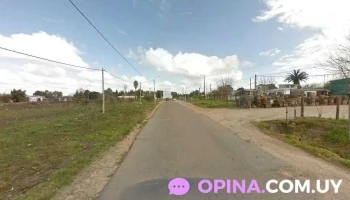 Almacén - Dr. Héctor Peluffo