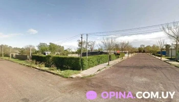 Almacén el Cholo - 45100 Paso De Los Toros