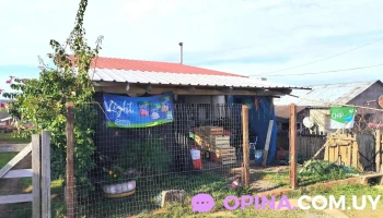 Almacén El Triunfo - 40000 Rivera Almacén El Triunfo - 40000 Rivera