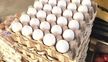 Almacén Kimberly - 15000 Ciudad De La Costa