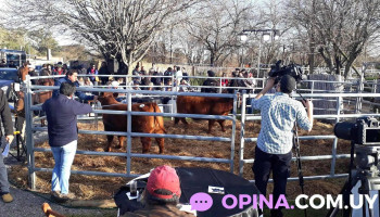 Almacén Rural Florida - 94000 Florida