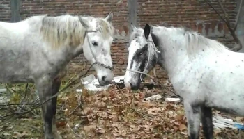 Almacén y provisión Los Tatitos - 70000 Col. Del Sacramento Almacén y provisión Los Tatitos - 70000 Col. Del Sacramento