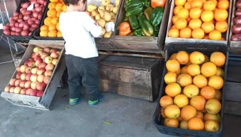 Almacén Y Puesto De Frutas y Verduras - C. 4