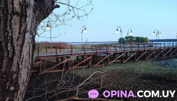 Alojamiento Zimmermann - Villa Soriano Alojamiento Zimmermann - Villa Soriano