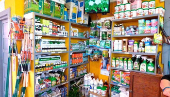 Álvarez Cultivos - 20000 Maldonado