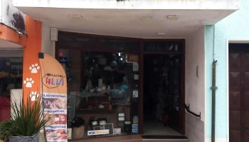 Alvi - 27200 Castillos Alvi - 27200 Castillos