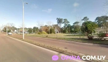 Amor Mío - Alta Peluquería - Av. Franklin Delano Roosevelt