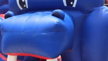 Ana Decoplantas - Durazno