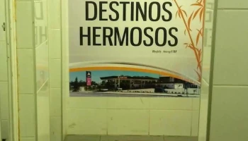 Ancap - 85000 Flores Ancap - 85000 Flores