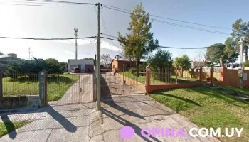 Andrea alisados y demás - 12400 Montevideo Andrea alisados y demás - 12400 Montevideo