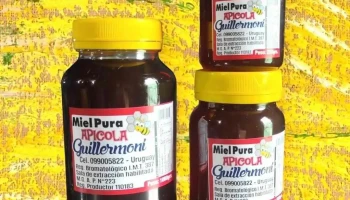 Apicola Guillermoni - Paysandú Apicola Guillermoni - Paysandú