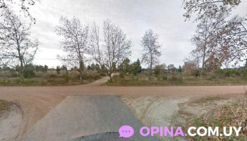 Arapy educación viva - Col. Del Sacramento Arapy educación viva - Col. Del Sacramento