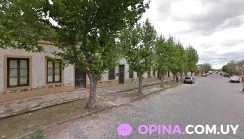 Áreas Pedagógicas - Juan L. Lacaze