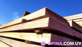 Aserradero Progreso - 15900 Progreso