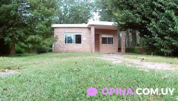 Aspen Tree School Of English - Ciudad De La Costa