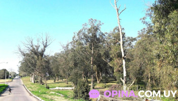 Asti Propiedades - Montevideo Asti Propiedades - Montevideo