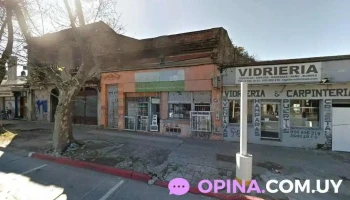 Ata Artes Marciales - Montevideo