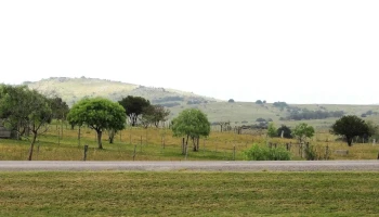 Audiobible - 20000 San Carlos