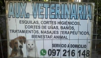 Auxiliar veterinaria - 20000 Maldonado Auxiliar veterinaria - 20000 Maldonado