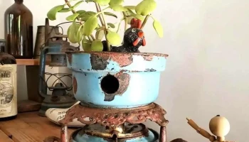 Avefenix.uy - Departamento De Canelones Avefenix.uy - Departamento De Canelones